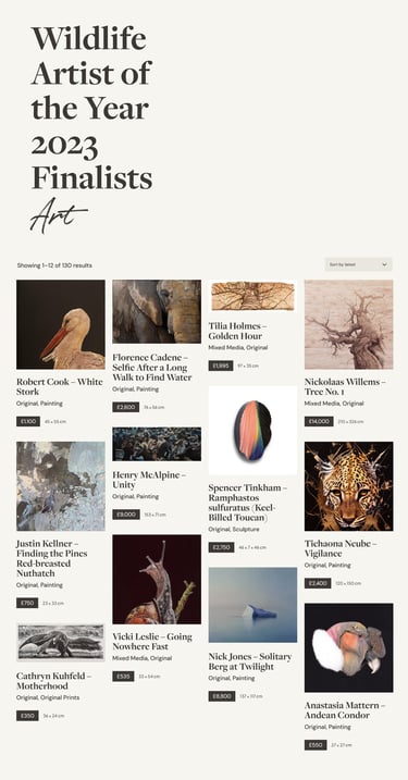 Wildlife Artist of the Year Website