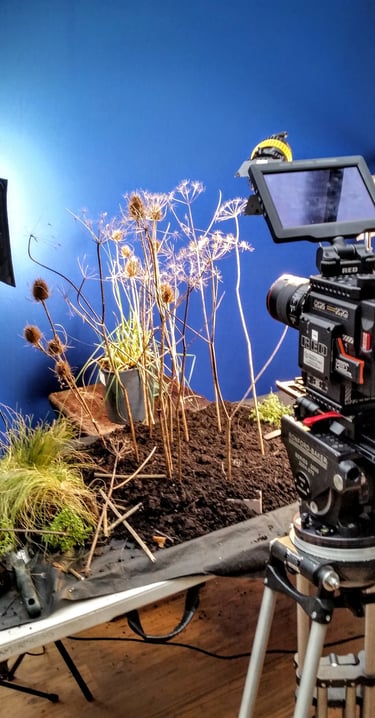 a wildlife film set built for natural history productions