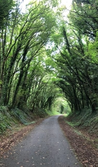 Chemin de vie