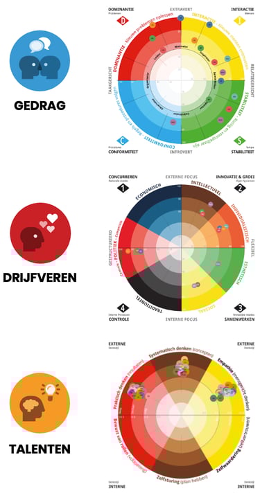 DISCOVER voor teamontwikkeling, DISCOVER teamwielen