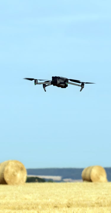 Drone DJI Mavic 3 Thermal Entreprise