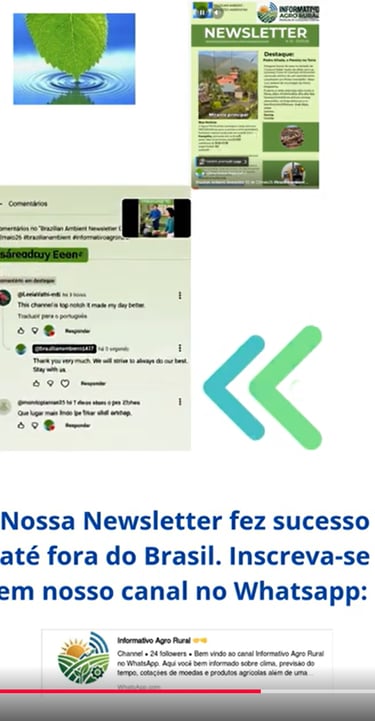 nossa newsletter faz sucesso fora do brasil