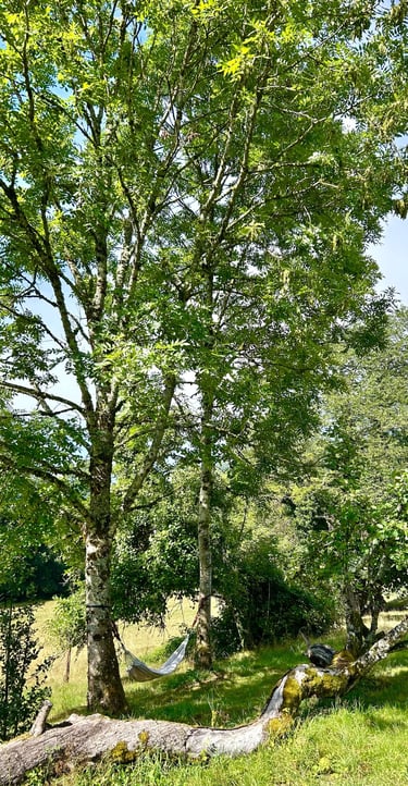 a hammock under the trees to relax in France