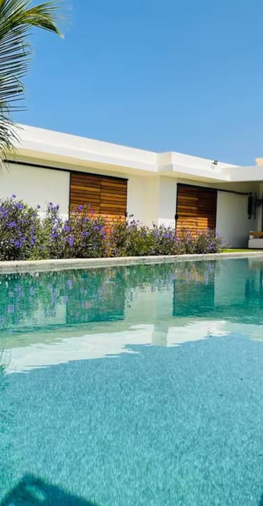 a pool with a palm tree and a palm tree
