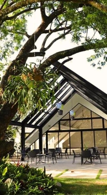 pinar dorado jarabacoa