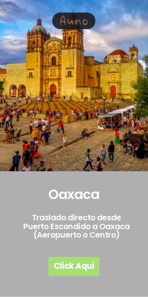 Traslado oaxaca