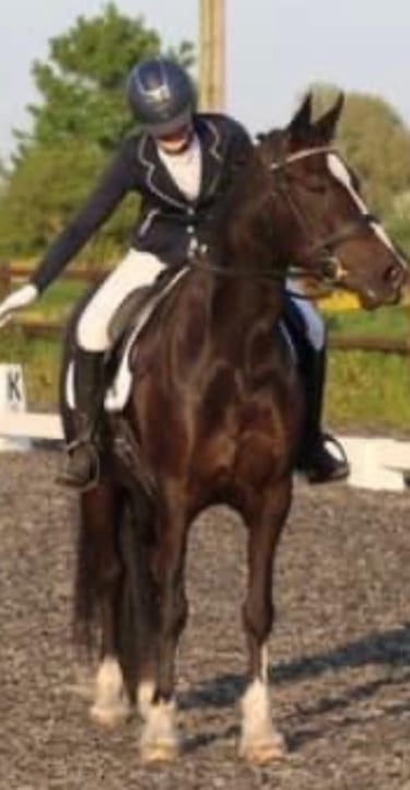 a lady praising a horse whilst competing