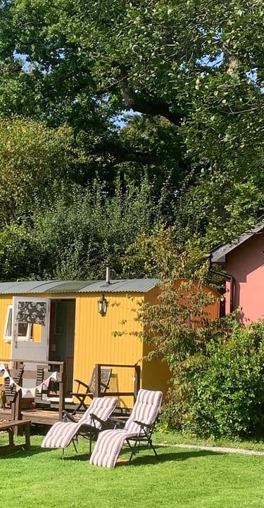 Yellow shepherd hut with a wooden deck and lounge chairs in a sunny garden.
