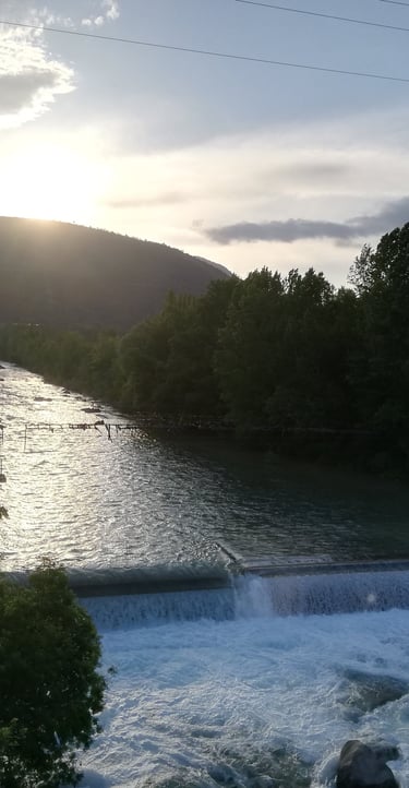 rioara