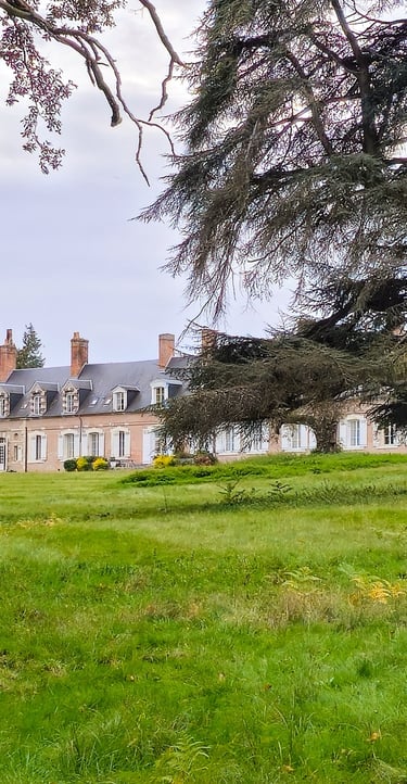 chateau cote parc.