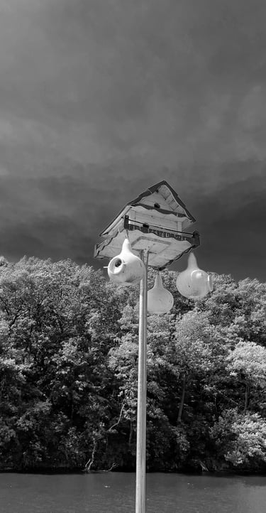 A birdhouse at the Montello dam.