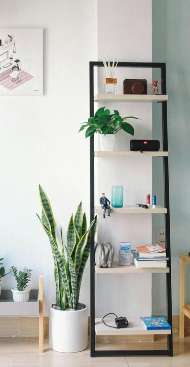 Bright and tidy home interior with stylish shelf and greenery after KLEAN WELL cleaning service