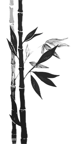 burn out, tensions, parole en public, difficulté de concentration, de motivation, perte de sens