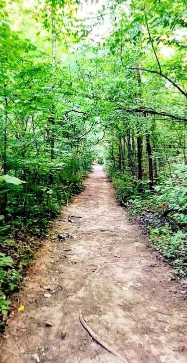 Hixson/Chattanooga - 6 miles of nature trails at Greenway Farms Park