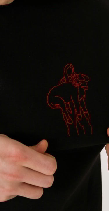 siuvinėjimas ant drabužių