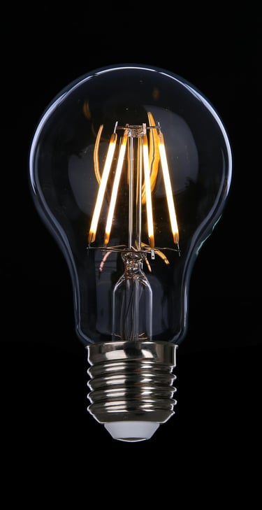 LED light bulb