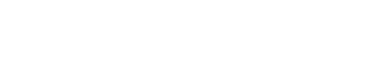 pioneer logo white