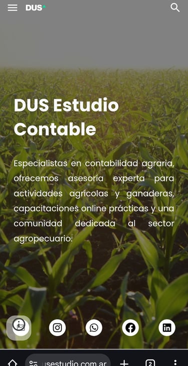 sitio web hecho por hongui, es de un estudio contable llamado DUS