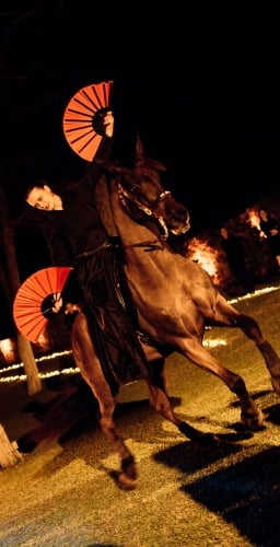 Flamenco and live horse show featured at a private celebration at Villa El Rincon in Marbella.