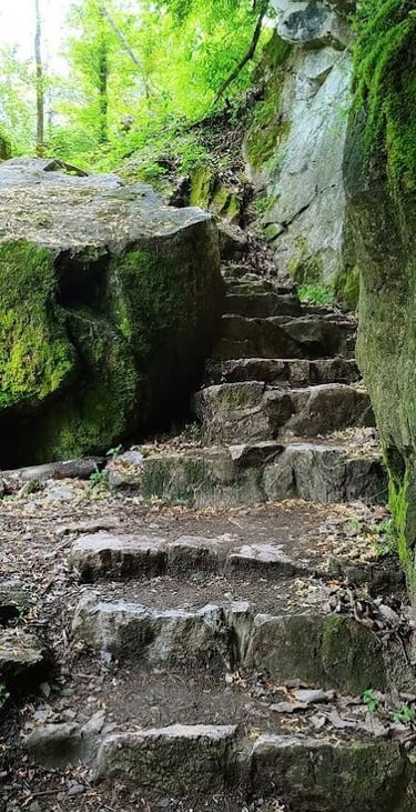 Knoxville, Tennessee Travel - stone step trail at Ijams Nature Park from the riverfront landing