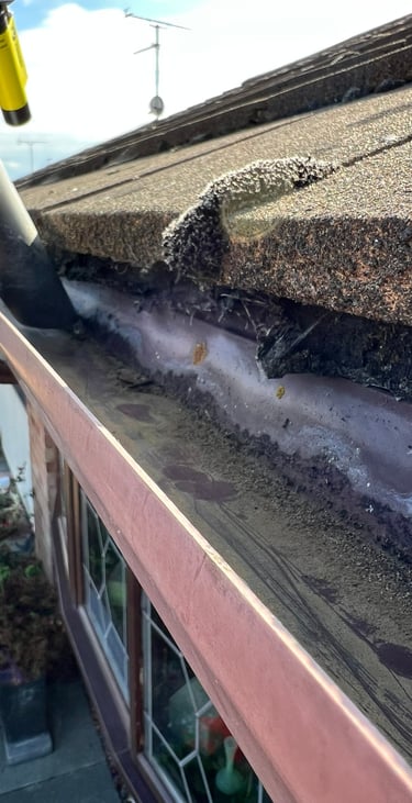 Guttering cleaned with a gutter vacuum cleaning service