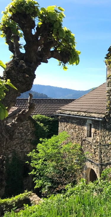 Pretty rural gîte to rent in southern Ardèche