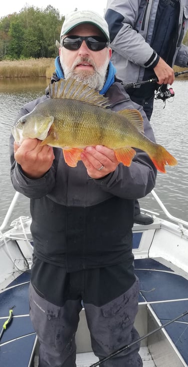 un pêcheur est sur un bateau en suède , il tient une belle perche grace a fishing escape sweden. .
