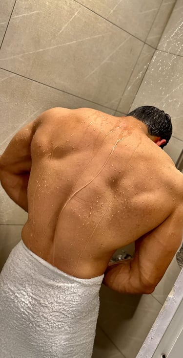 Back muscles