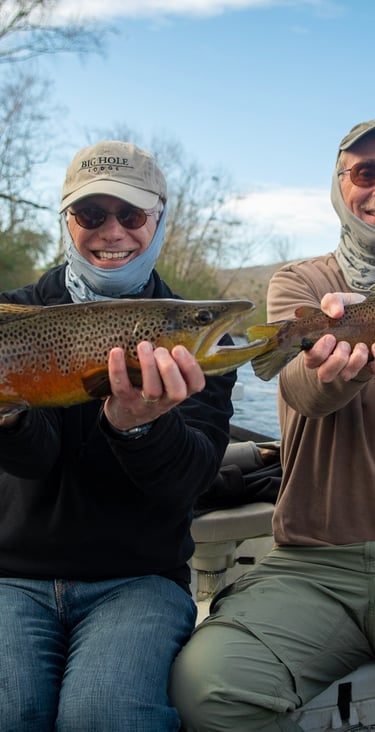 Great brown trout double while fly fishing the Watauga River.