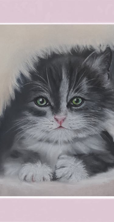 Play And Pounce - Soft pastel