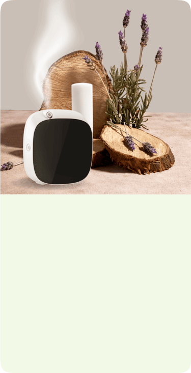 Difusor profesional aromatizante