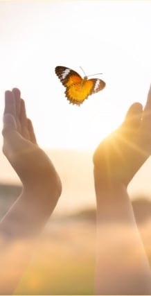 mains ouvertes qui libèrent un papillon dans la lumière