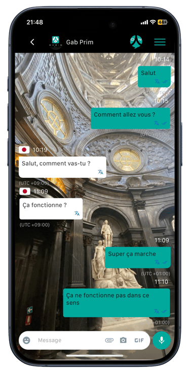 Phone mockup with Ohaio Chat