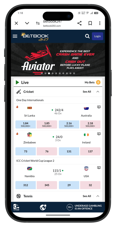 betbook250 login