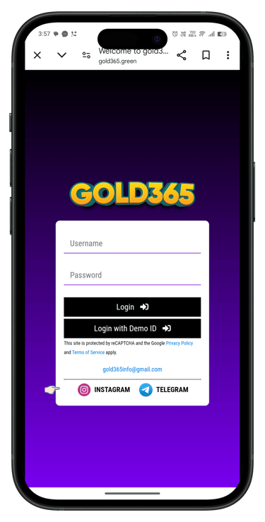 GOLD365