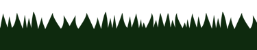 Grass design for use as visual assets in social media posts and advertising