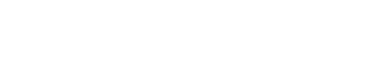 Epic Flow Logo
