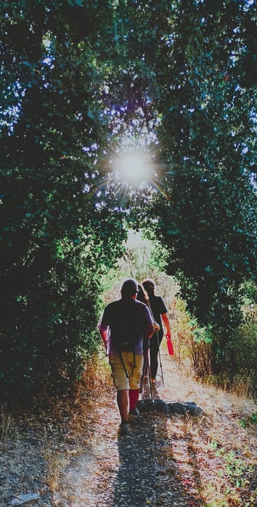 senderismo San Vicente de Tagua Tagua, trekking