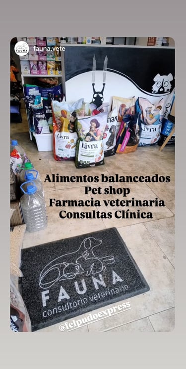 Felpudo personalizado con logo felpudo express 11