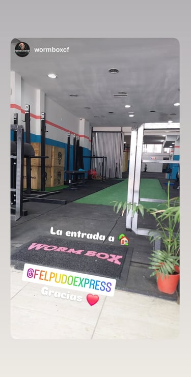 Felpudo personalizado con logo felpudo express 5