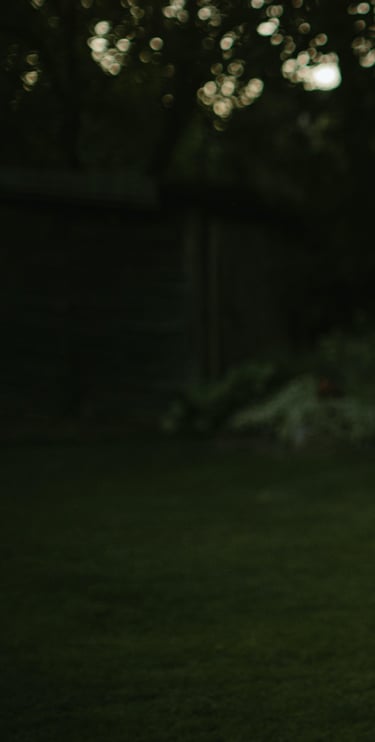 tamsiai žalios spalvos fonas