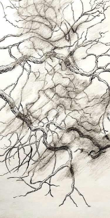 Graphite and ink monoprint of winter tree branches