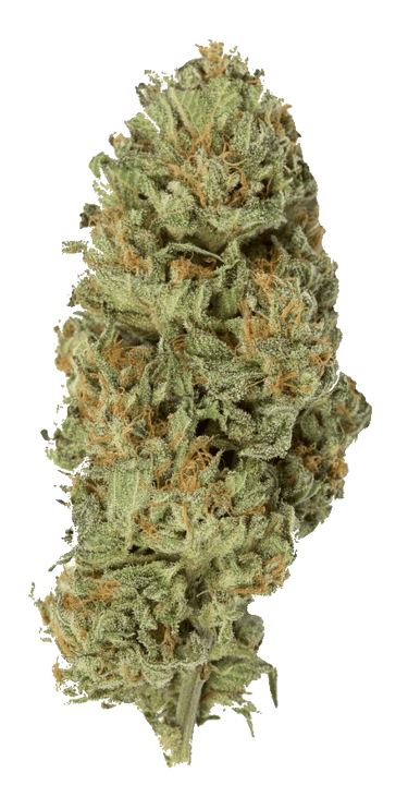 Cannabis in malta