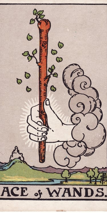 Ace of Wands Tarot Card Meaning – Tarot image showing new beginnings, inspiration, creativity, and p