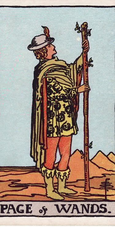 Page of Wands meaning upright and reversed tarot card reading