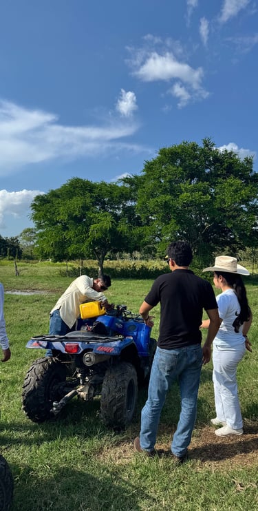 Equipo LH trabajando en campo para nuevos diseños ganaderos