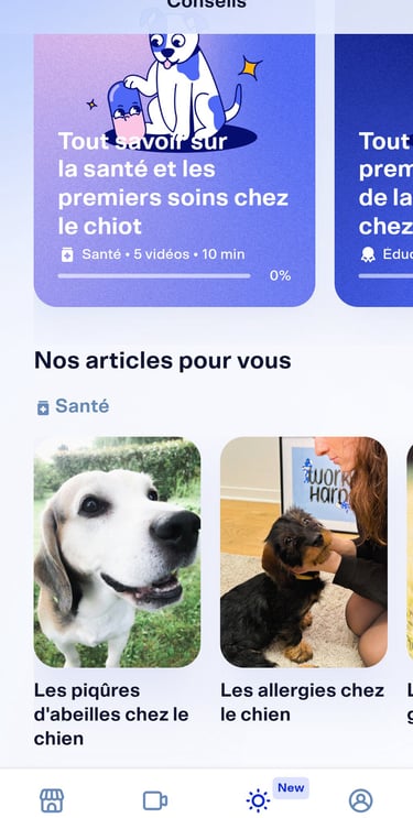Dalma | 1 mois offert avec le code CECILExMAYA