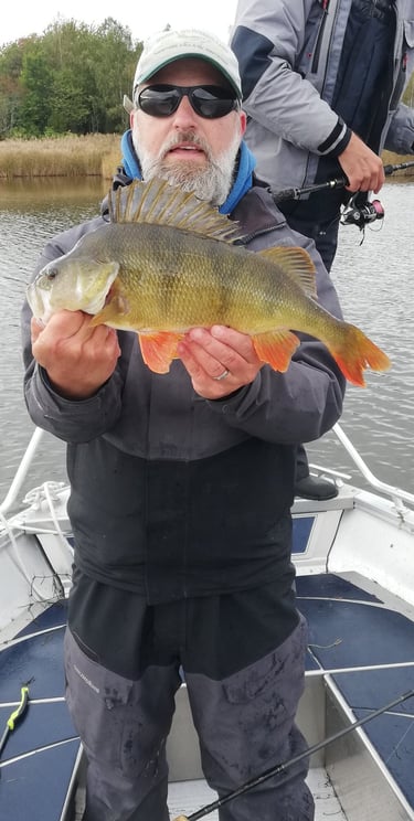 un pêcheur est sur un bateau en suède , il tient une belle perche grace a fishing escape sweden. .