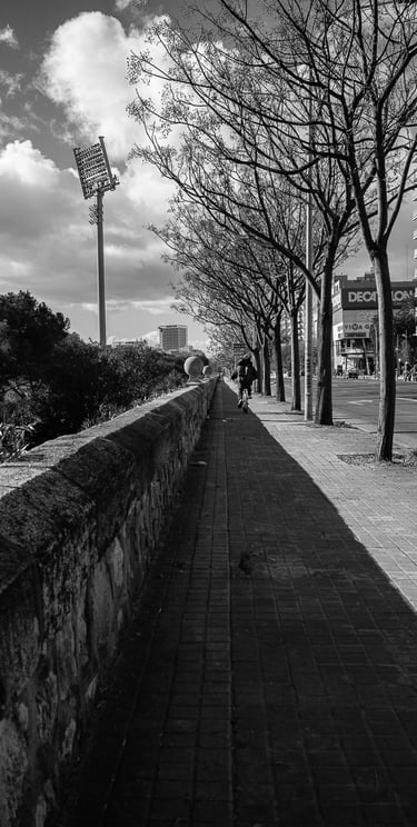 Foto no clasificada 7