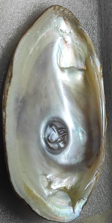 "White designer pearl with sacred face design–11mm using nucleus method-for global shipment"